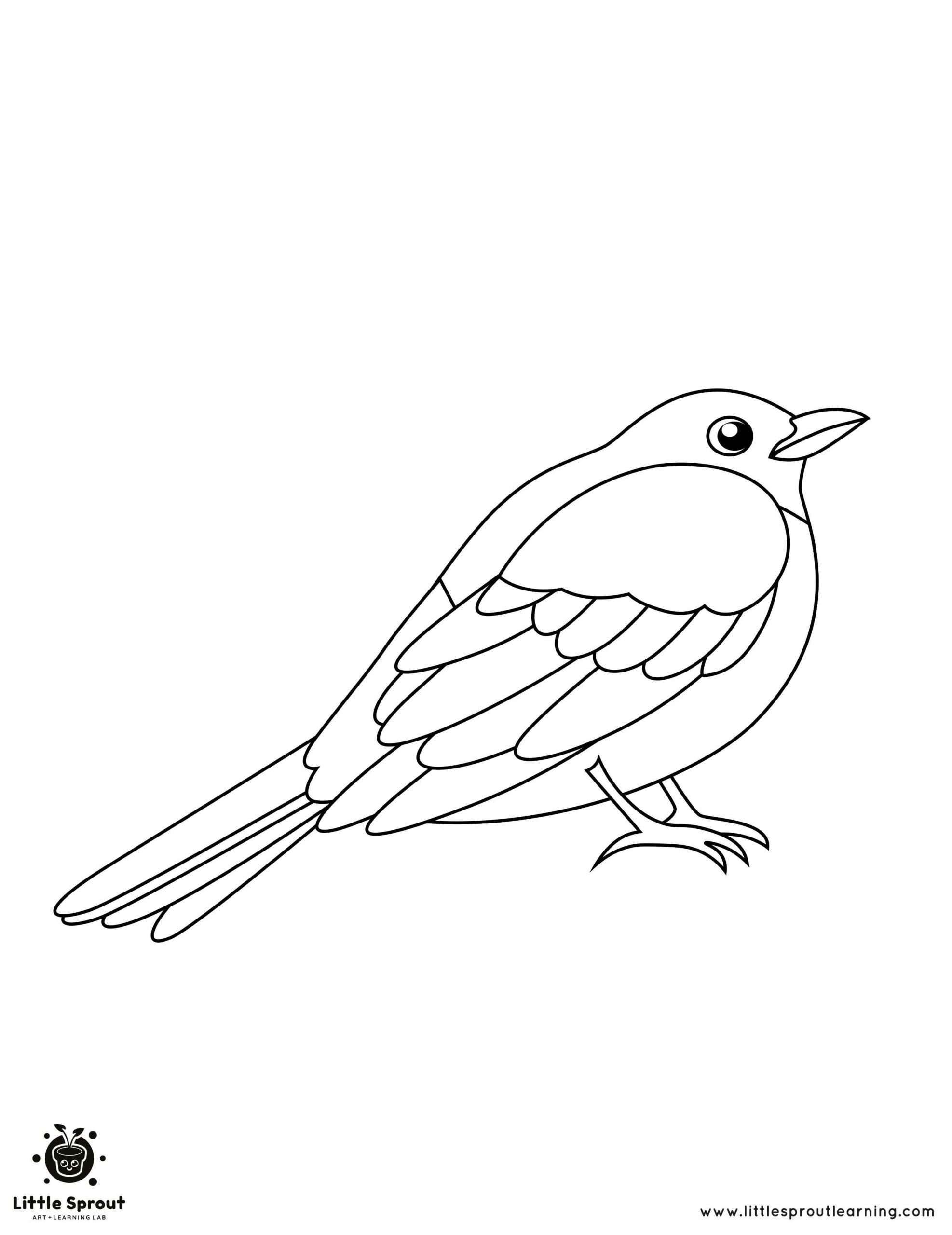 Cute Bird Coloring Page