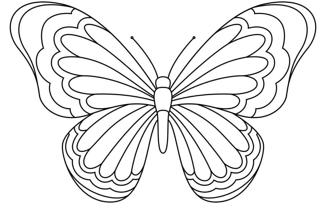 Beautiful Butterfly Coloring Pages
