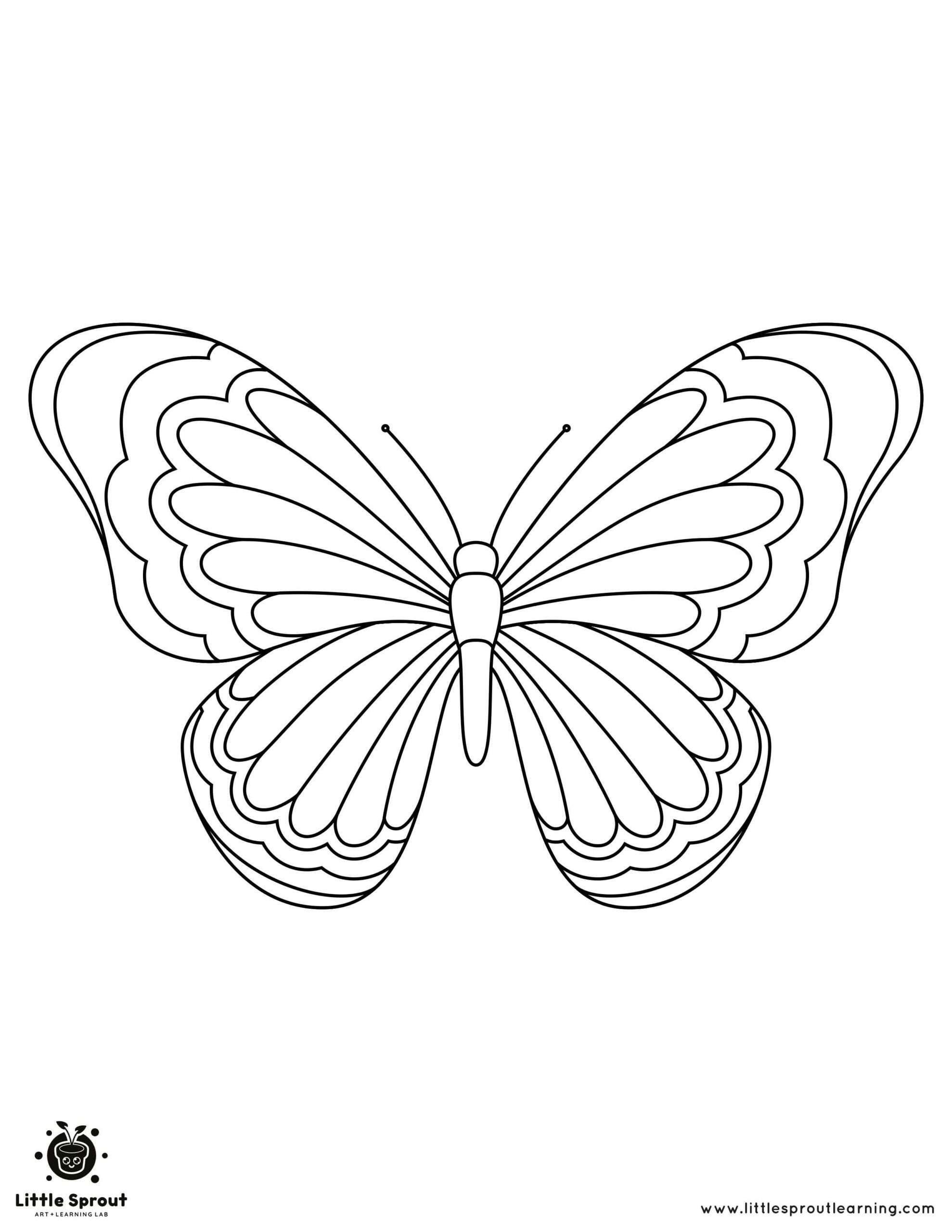 Beautiful Butterfly Coloring Page