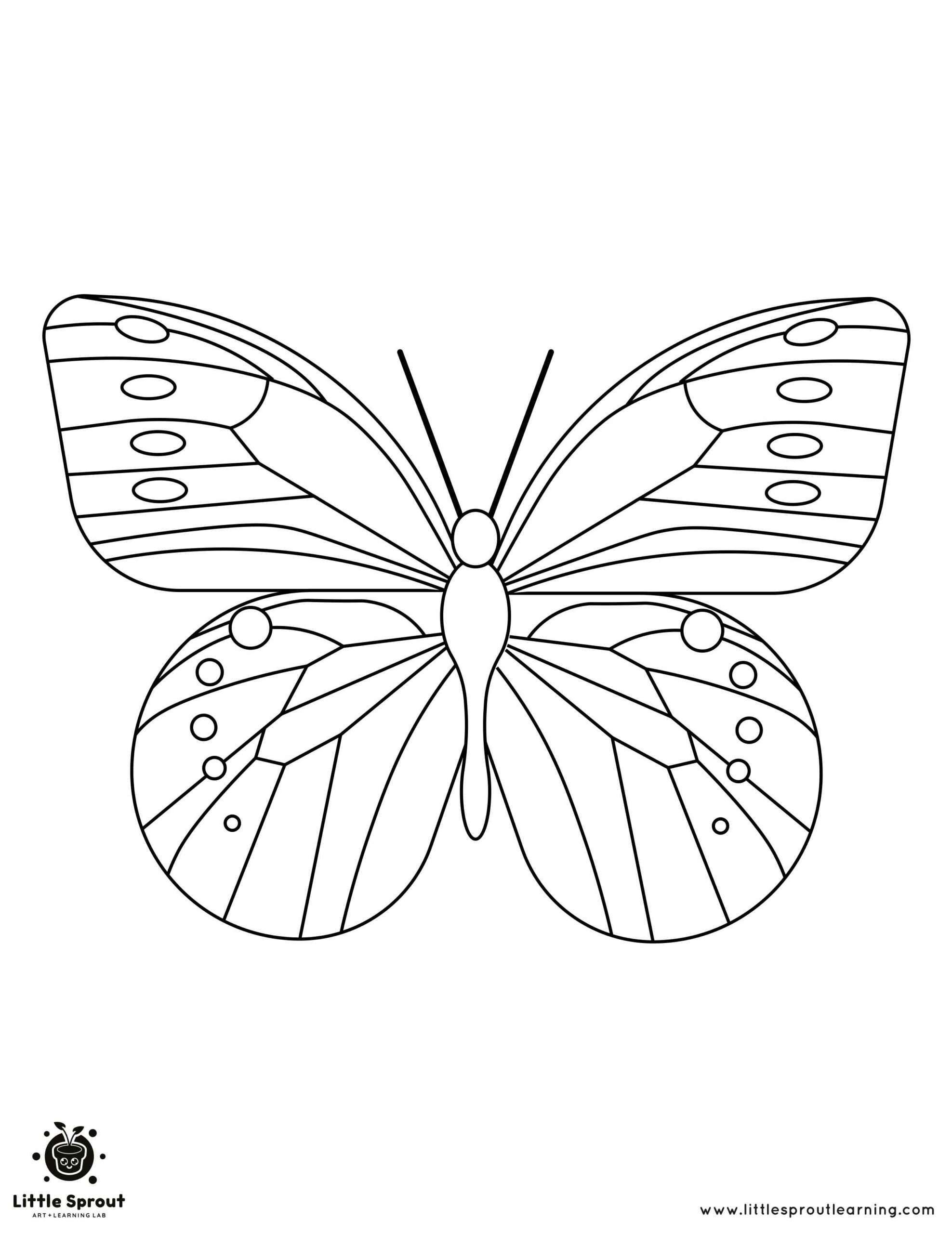 Graceful Butterfly Coloring Page