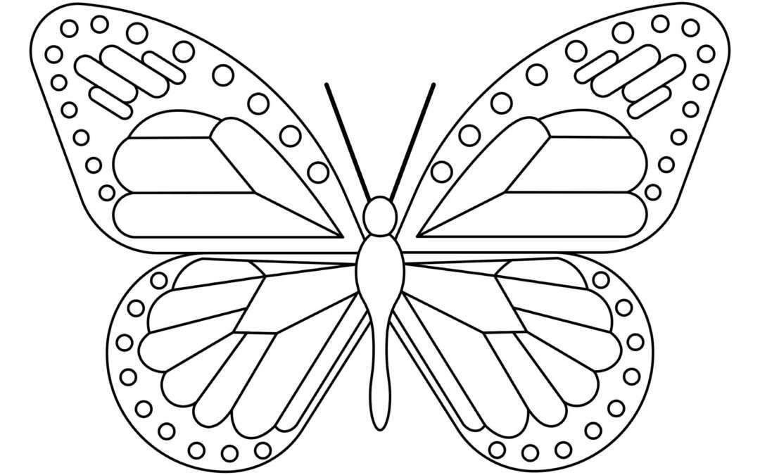 Majestic Wings Butterfly Coloring Page