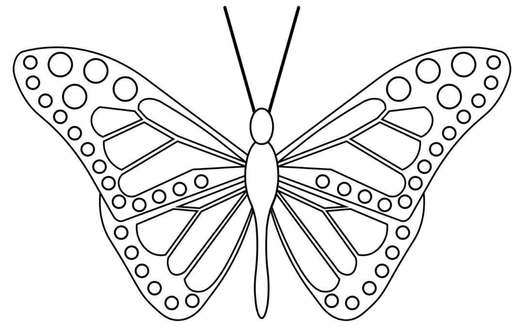 Spotted Butterfly Coloring Page