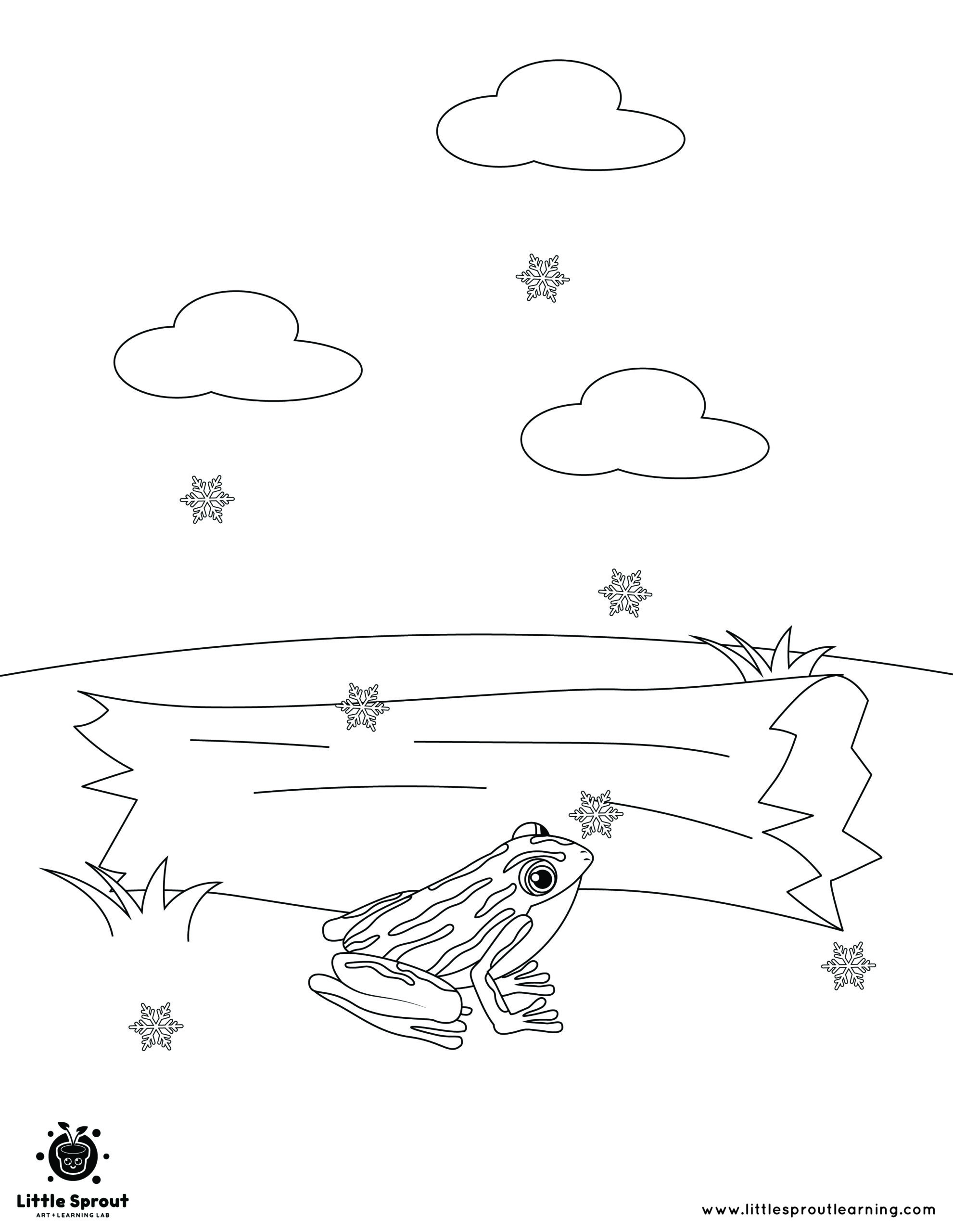 Wood Frog Looking for Shelter – Hibernating Animals Coloring Page