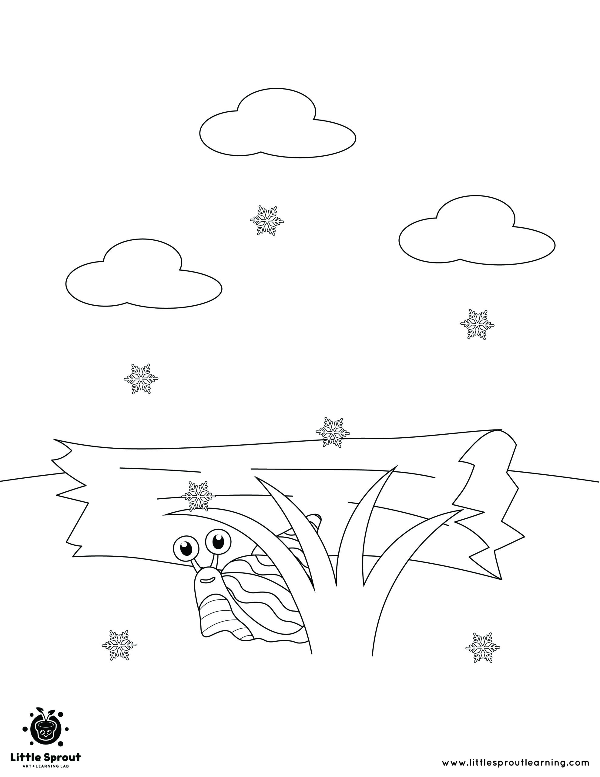 A Searching Snail – Hibernating Animals Coloring Page
